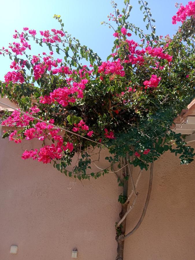Menegis Apartment Zakynthos Town Ngoại thất bức ảnh